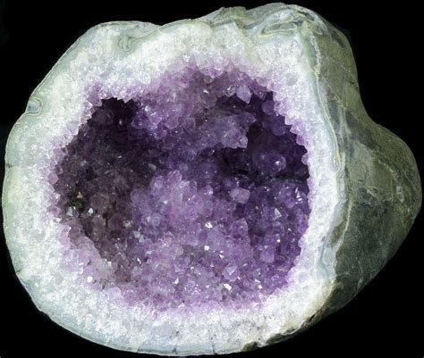 6.3" Gorgeous Amethyst Geode - Uruguay For Sale (#30653) - FossilEra.com