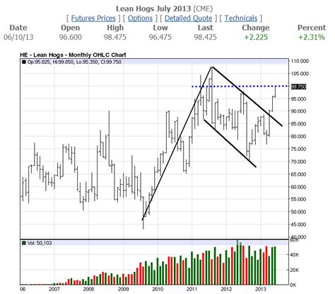 Can Lean Hogs Boar Through 100? - RMB Group - Futures and Options ...