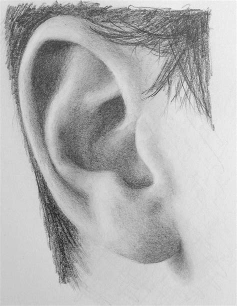 How to Draw a Realistic Ear - Step by Step Drawing Demonstration ...