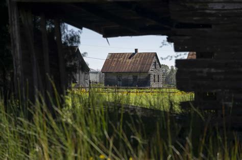 Cajun Bayou Culture Day | LA Cajun Bayou Itinerary