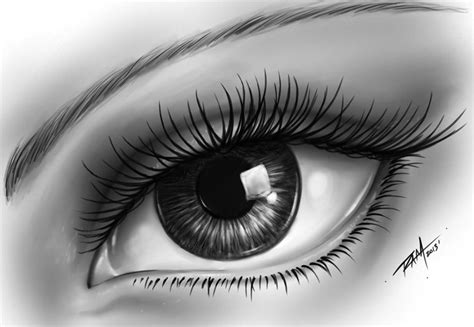 Super Realistic Eye Drawing Clipart