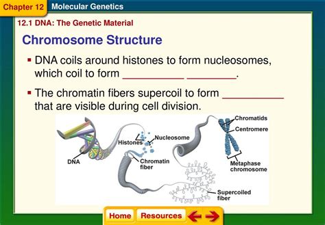 2A. Distinguish between DNA and RNA. - ppt download