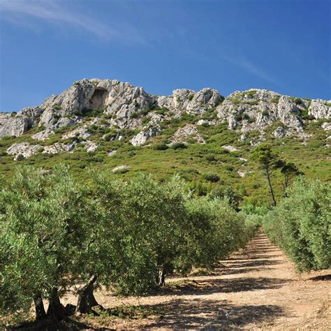 Winter sun in Provence | France | Europe | Walking holidays | The ...