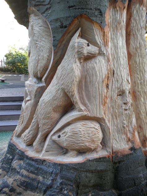 Fox-n-Hedghog carved into old beech tree | Wood carving patterns, Wood ...