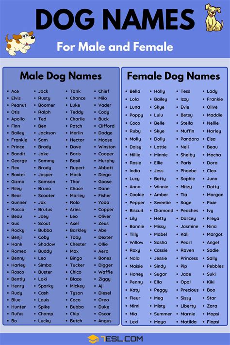 Dog Names: 100+ Most Popular Male and Female Dog Names • 7ESL | Dog ...