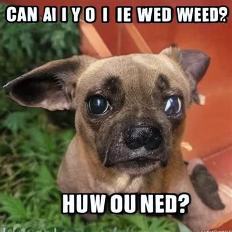 can i has some weed? 🥺, trending on funny memes | Stable Diffusion ...