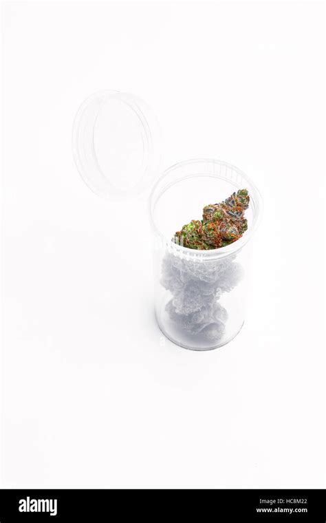 Close up photo of marijuana bud(s) isolated on background Stock Photo ...