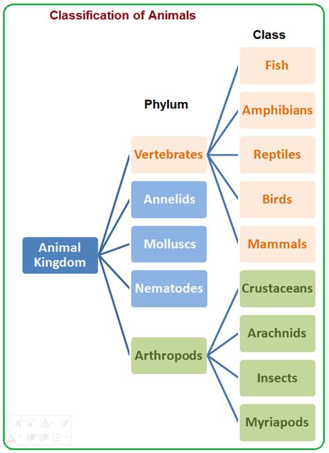 The animal kingdom contains many phyla. Some of them are: Vertebrates ...