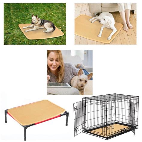 The 6 Best Dog Crate Pads - BarkForce