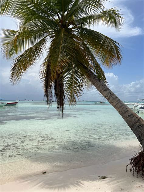 Saona Island🇩🇴 | Saona island, Instagram, Caribbean sea