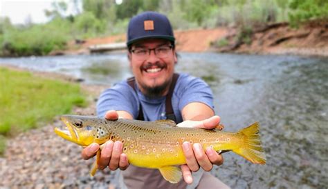 South Platte Fishing Report - Colorado Trout Hunters