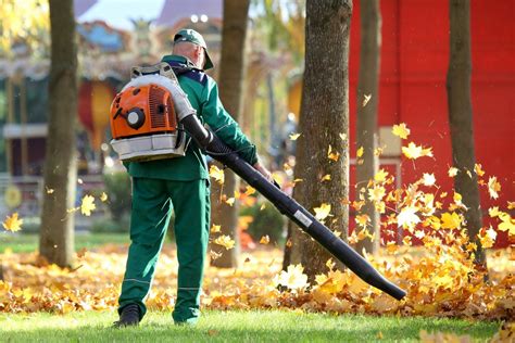 Why do we tolerate gas-powered leaf blowers? - Wednesday Journal