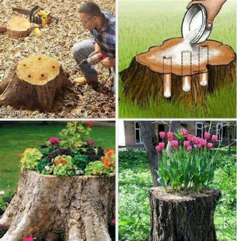 Table Tree Stump Ideas Pinterest - leafonsand