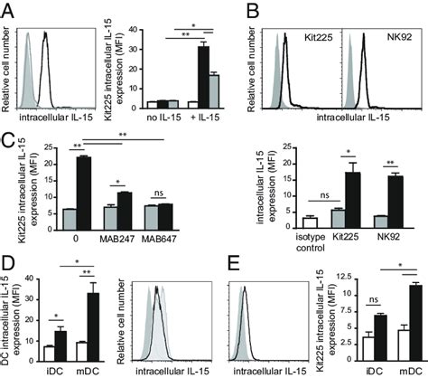 IL-15 cytokine is detectable within responding cells following ...