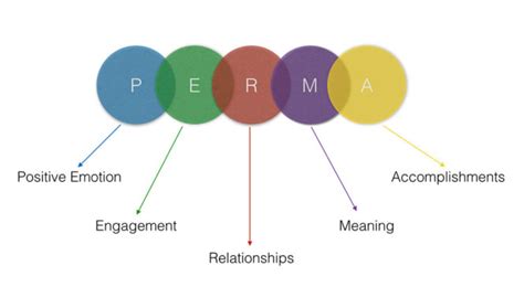 Perma Model di Martin Seligman: Psicologia positiva - IEPP