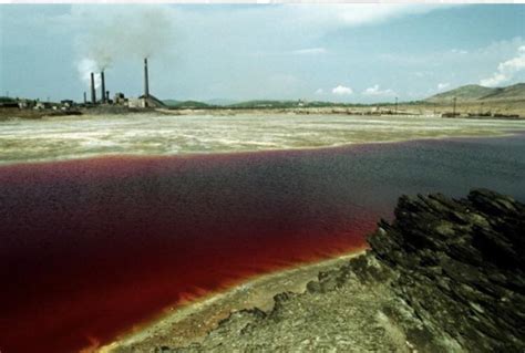 Image of the Central Russian Lake Karachay, dubbed the most polluted ...