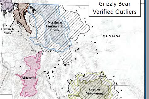 Montana Grizzly Bear Numbers Map