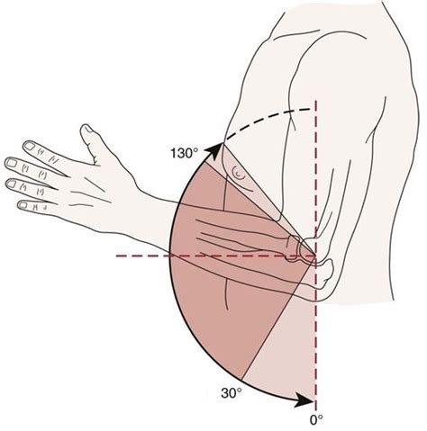 Elbow Range Of Motion: How To Measure & Improve Elbow Movement