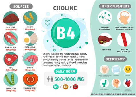 The Brain-Boosting Effects Of Choline