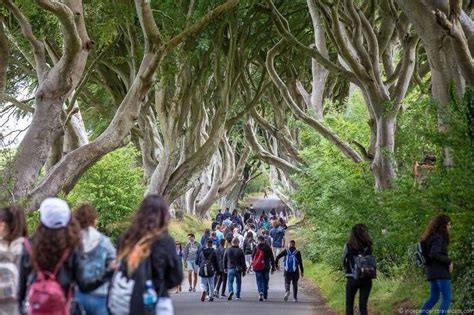 The Dark Hedges Game Of Thrones Filming Locations Ireland