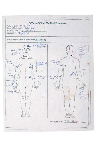 Autopsy Report Basics: An Easy-to-Understand Guide | LoveToKnow