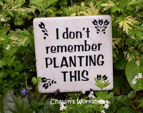 I Don't Remember Planting This Funny Garden Sign Funny | Etsy Canada