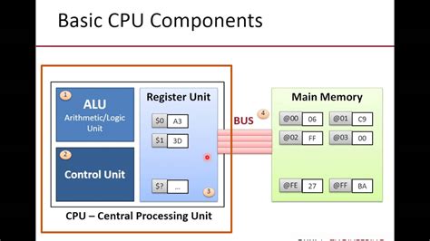 Activity 4: Components of CPU | The CPU