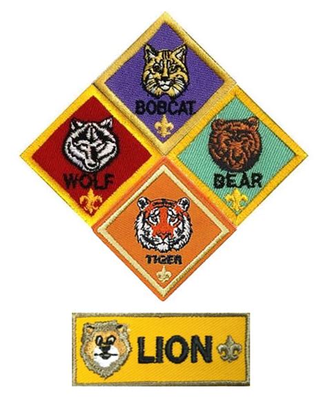 Cub Scout Program | Boy Scouts of America