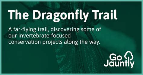 The Dragonfly Trail - Go Jauntly