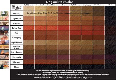 Colora Henna Powder Color Chart