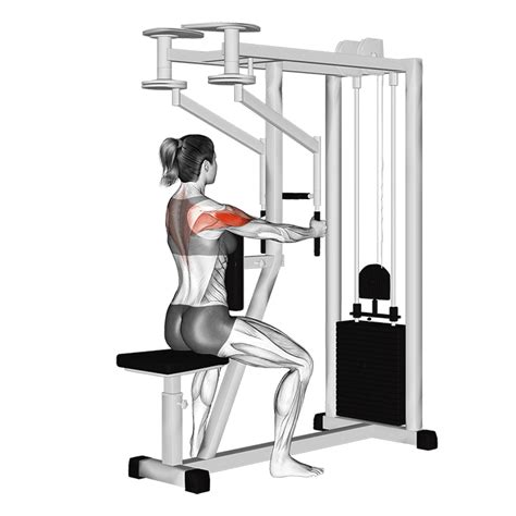 Pec Deck Machine: Benefits, Muscles Worked, and More - Inspire US