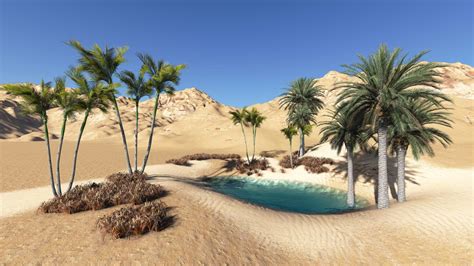 Desert Oasis Wallpaper (57+ images)