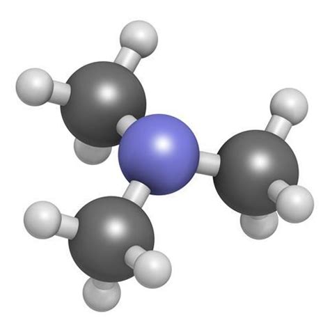 Trimethylamine | Podcast | Chemistry World