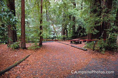 Portola Redwoods State Park - Campsite Photos, Campsite Availability