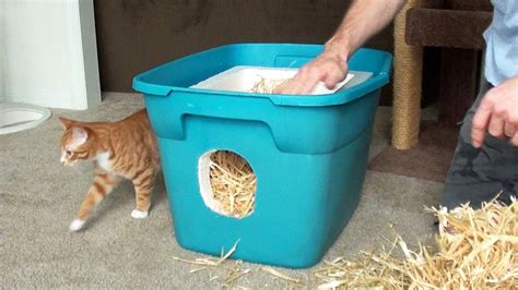 How to Make a Feral Cat Shelter - YouTube