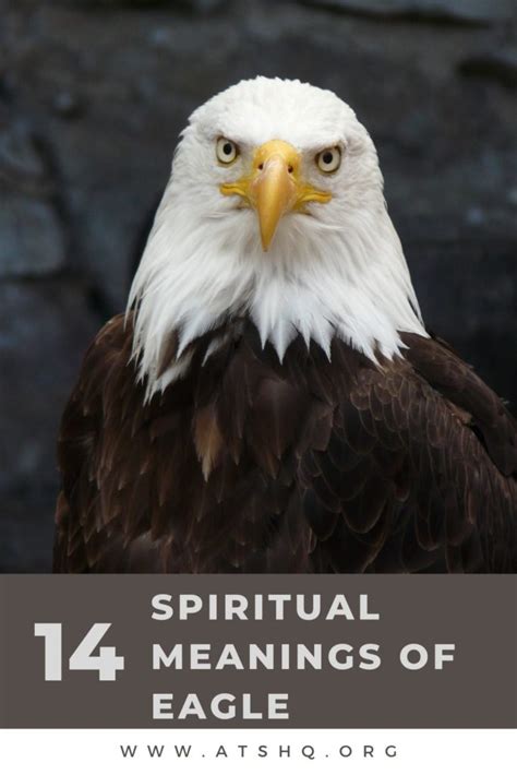 Eagle Symbolism: 14 Spiritual Meanings of Eagle