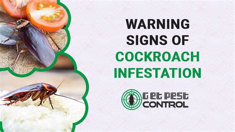 signs-of-cockroach-infestations - Get Pest Control