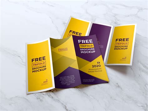 Free DL Tri-Fold Brochure Mockup | Mockuptree