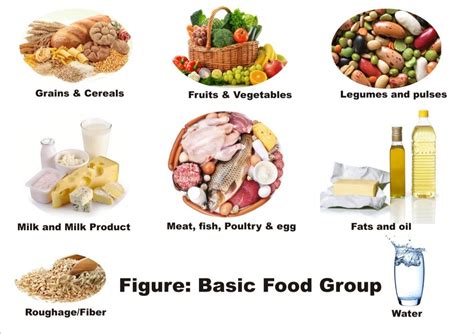 Food Groups | Mynutrishop