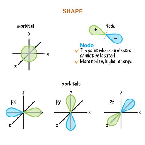 Biochemistry Glossary: Orbitals - 2. Shape | ditki medical & biological ...