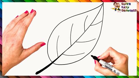 How To Draw A Leaf Step By Step 🍂 Leaf Drawing Easy - YouTube