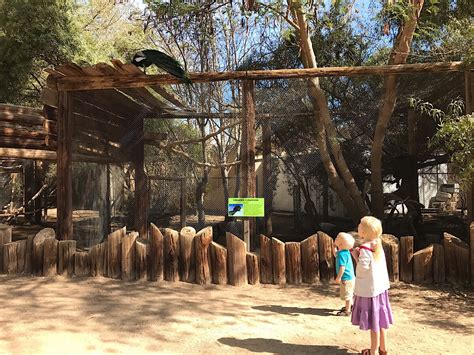 Wildlife World: Zoo, Aquarium & Safari Park - Phoenix With Kids