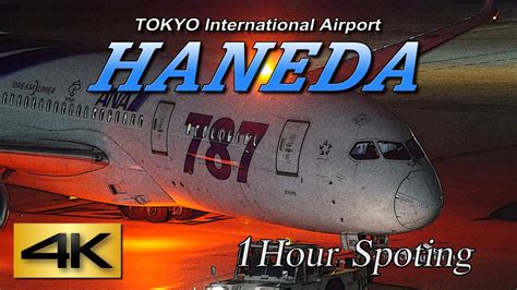 【4K】1Hour! Night view Spotting @HANEDA Airport International terminal ...