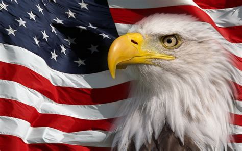 Free Pictures Of American Flag With Eagle - Happy Memorial Day ...