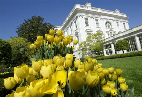 White House to Host Fall Garden Tours October 17, 18 - Newsweek