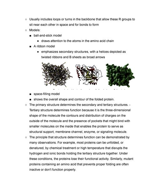 Protein Evolution and Sorting - Studocu