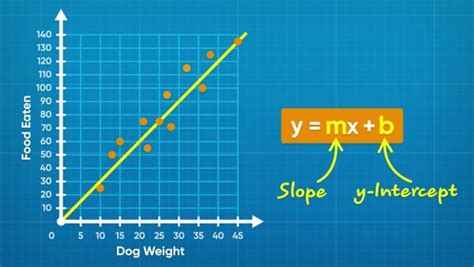 Scatter Plots (Displaying Bivariate Data) | Generation Genius