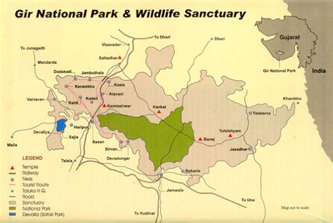 Gujarat Ghumo: Gir National Park