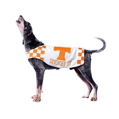 SMOKEY - Mascots of the Southeastern Conference - ESPN