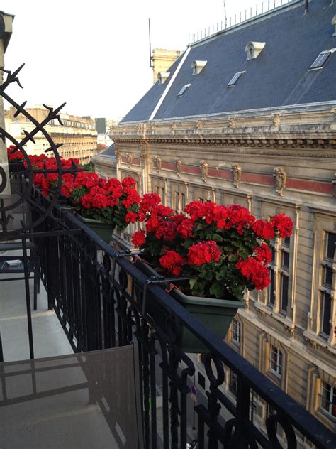 Balcony - Hotel in Paris | Paris hotels, House styles, Summer garden